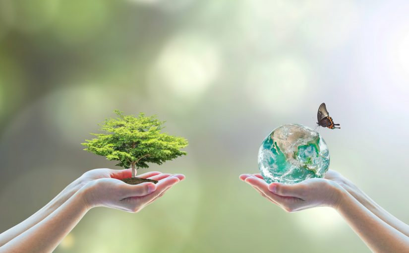 3d78cf 70b50fa527d34f98800a90a28830b225mv2