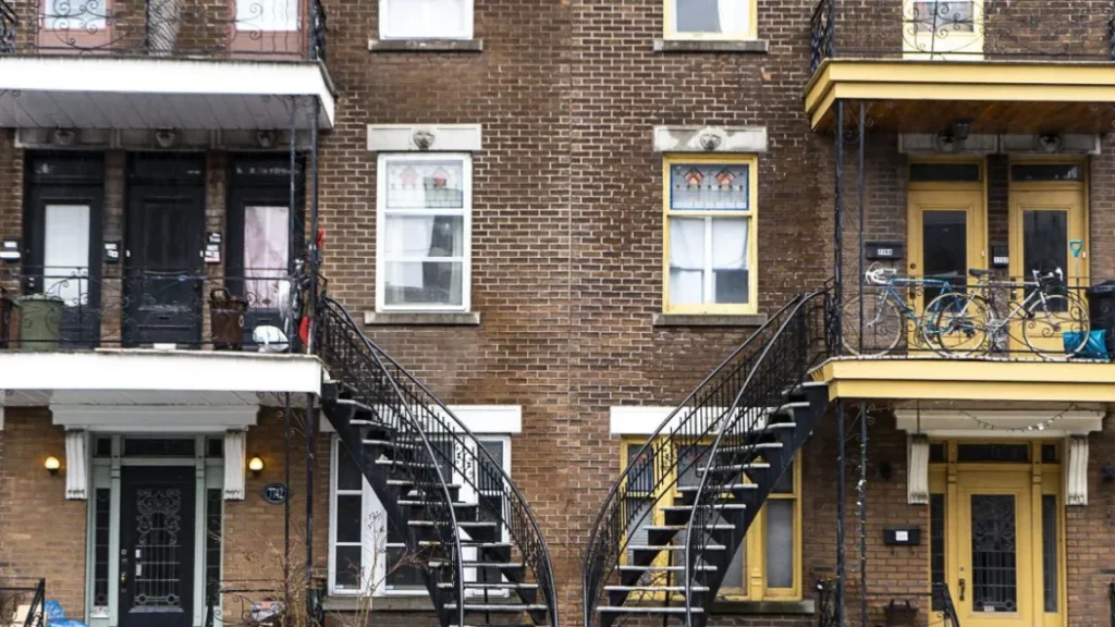 010 plex josie desmarais e1632917551822